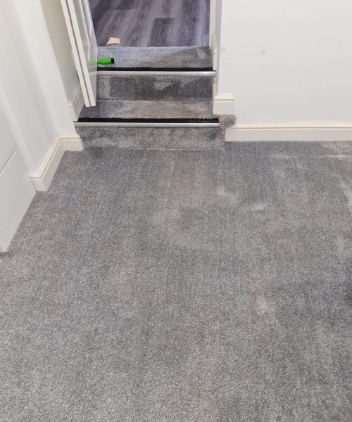 after carpet cleaning - Skyline Cleaning